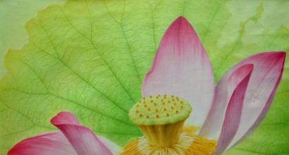 Fortune telling about the past, present and future on simple cards using the Lenormand method Fortune telling on Lenormand watches