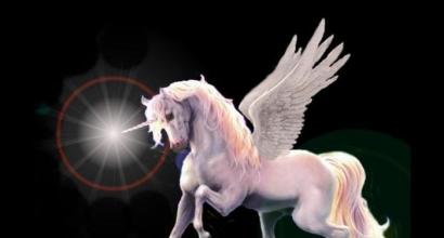 Mythical horses: with wings, eight legs and human heads What is the name of the horse with wings and a horn