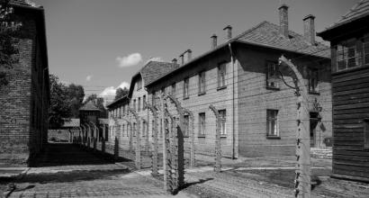 What is a Holocaust?  Where to look for its origins?  A Brief History of the Holocaust In which country is the Holocaust located?