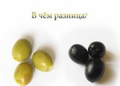 Olives: why do you dream?
